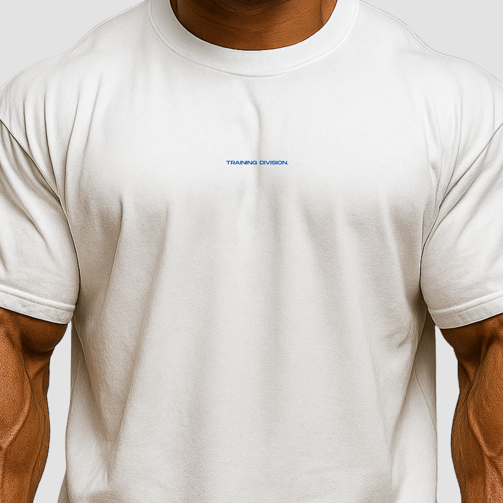 TRAINING DIVISION OVERSIZED T-SHIRT